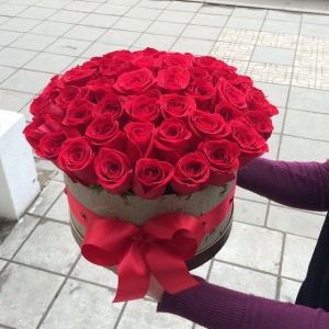 10995013_1527023024189122_1884143587_n