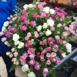 10533016_292923914223714_233714307_n