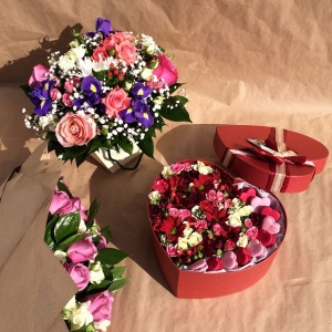 11005165_774963882592494_1257105428_n