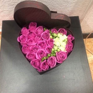 10895221_415306888624091_919883802_n