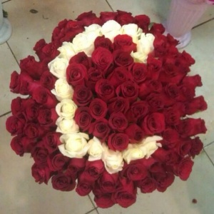 10251370_239474729571918_1856381338_n