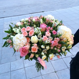 11138060_618409254961308_2072864939_n