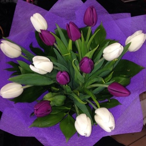 10009414_1374913739455794_2041757356_n