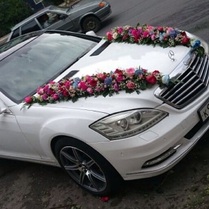 928619_271352366400293_540964355_n