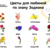 Цветы в Махачкале: их связь со Знаками Зодиака
