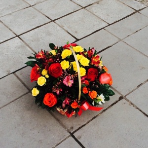 10890624_1559797170932731_1157373695_n