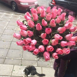 Букет жениха...2309