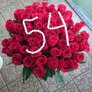 10261267_769775236373738_293934876_n