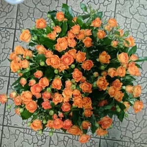 fffe1f00b18711e38c33124320eea8bc_8