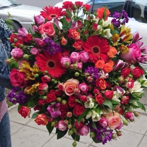 10251320_290520554441425_1370698394_n