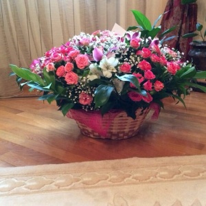 915581_461249240685320_1543852311_n