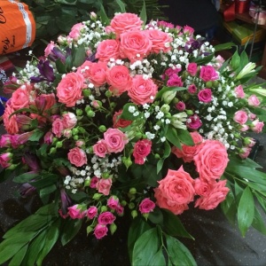 10538672_266835253504364_1049703184_n