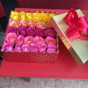 10986342_596509560485511_998252406_n 1