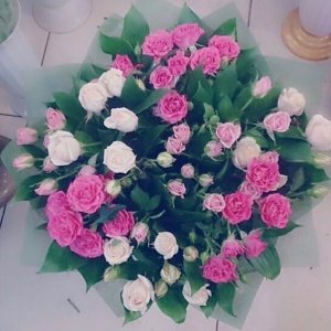 10004291_279364538892390_1796211079_n