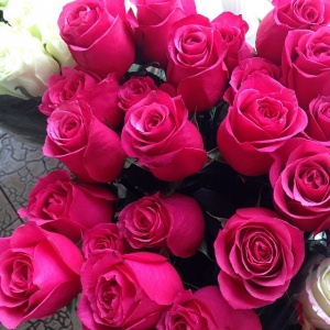 c0882066adbb11e380231275875ebd20_8