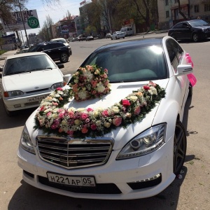 11176360_867117026695162_1876527346_n