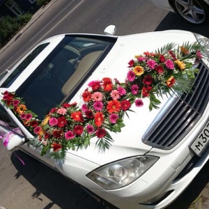 10508094_556895137777751_928195670_n