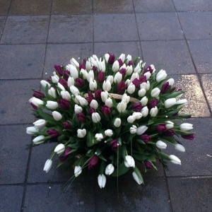 10983660_356472584536343_936214979_n