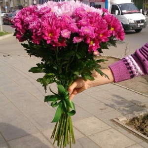 10261115_798854093459831_2063237350_n