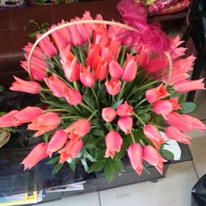 10249226_767248979974071_947215853_n