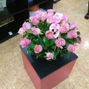 10959106_780624872015293_426674975_n