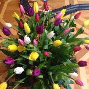 10004332_421299234671987_1255766602_n