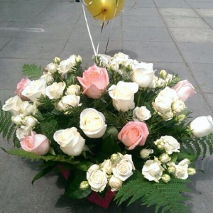 928307_1459474370967032_746843629_n