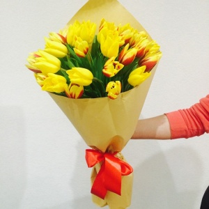 10864855_1572076843032069_158587862_n