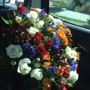 10254255_1433962290192930_1573346853_n 1