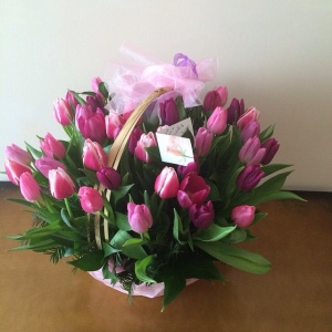 10864899_334299423423339_1464045209_n