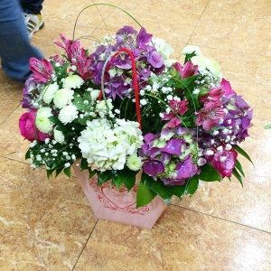 11111297_1595560557358610_50751488_n