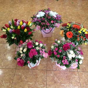 11142114_955636594461104_1113355984_n