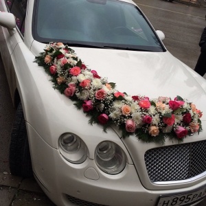 10948997_824547180973381_777718584_n