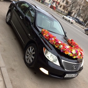 11085013_1613558415528012_771266017_n 1