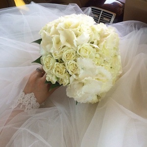 Наши работы...1773