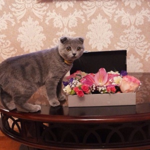 Наши работы...1743