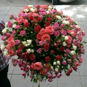 10520141_313084968851317_844314022_n