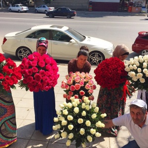 букет невесты...1584