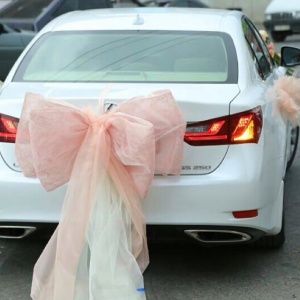 926804_1512859828946901_1820148655_n