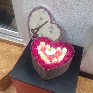 10979651_781794848573298_2085348868_n