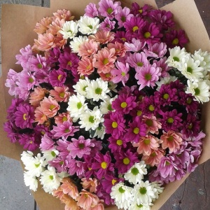 Подарочные букеты530