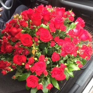 10810073_320252291502552_1477152337_n