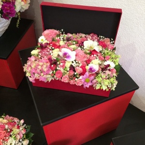 10946304_1542860069328810_1847385402_n