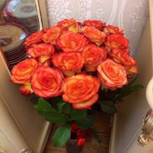 10570229_659515564132763_172173723_n