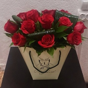 11005187_1576730335898761_1891799795_n