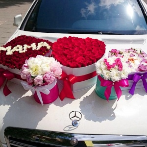 красота...2012