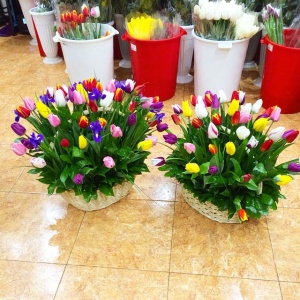 11098651_934319279923592_1812789651_n