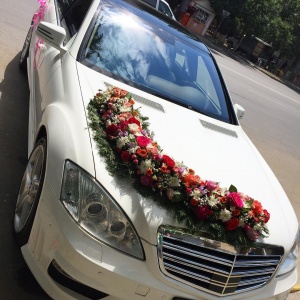 Оформление машин махачкала...1848