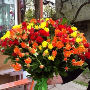 10268744_631202413623166_904051312_n