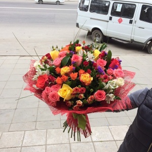 11184456_924281494290772_558576746_n